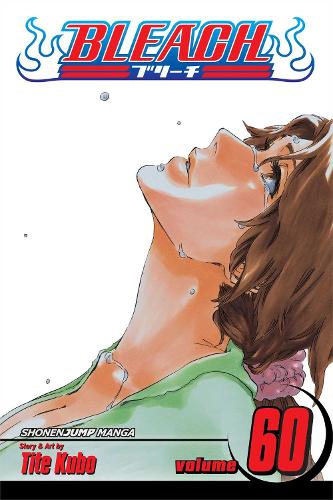 Bleach, Vol. 60: Everything But the Rain: Volume 60